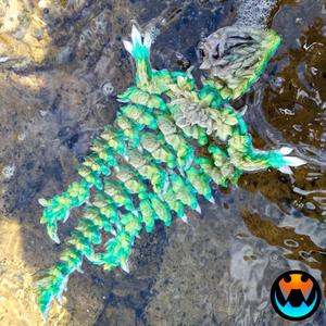 Jellyfish Dragon, Articulating Flexi Pet, Print in Place, Fantasy