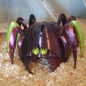 Hamster House "Apartment Arachnia"