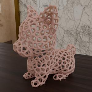 Cute Puppy