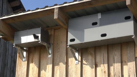 A nest box for a swift.