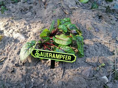 Pflanzschilder