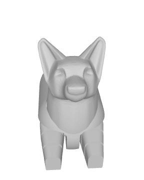 Little corgi