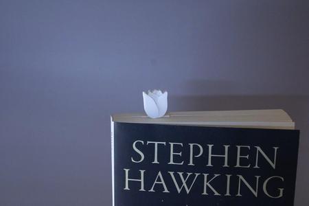 Tulip Bookmark (Fast & Easy Print, No Supports)
