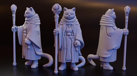 Tabaxi, Cat Wizard (DND / TTRPG)