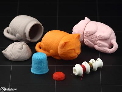 Sleeping Cat Needlecase