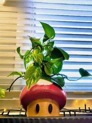 Super Mario Mushroom Plant Pot