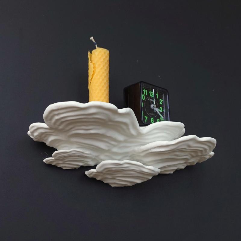 Mushroom shelf “ Stereum Ostrea”