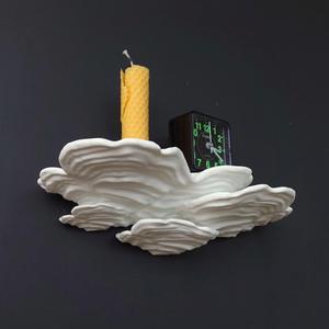 Mushroom shelf “ Stereum Ostrea”