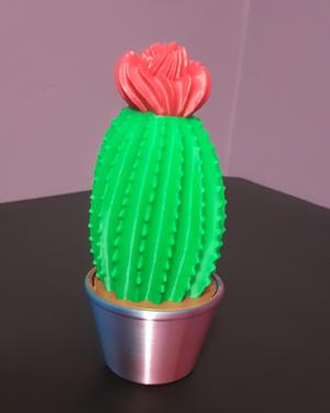 Cash Stash Cactus - Cashtus - Support Free
