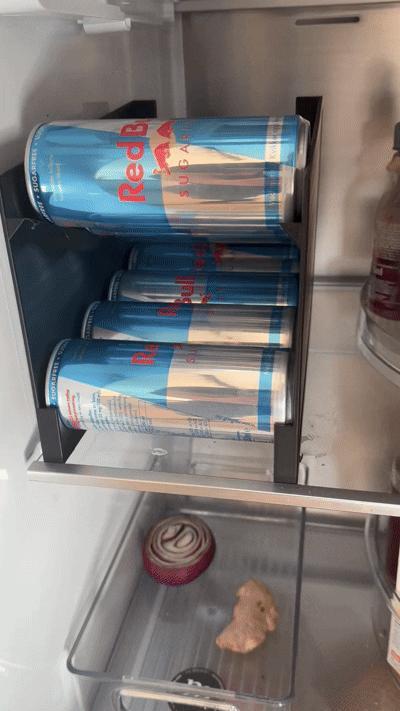Red Bull Dispenser 250ml cans
