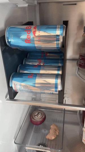 Red Bull Dispenser 250ml cans