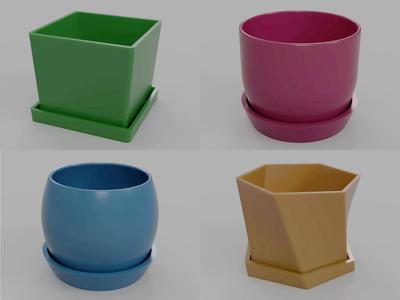 Pots with Trays and Drainage