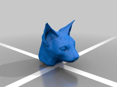 Sphynx Cat head