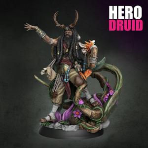 Druid