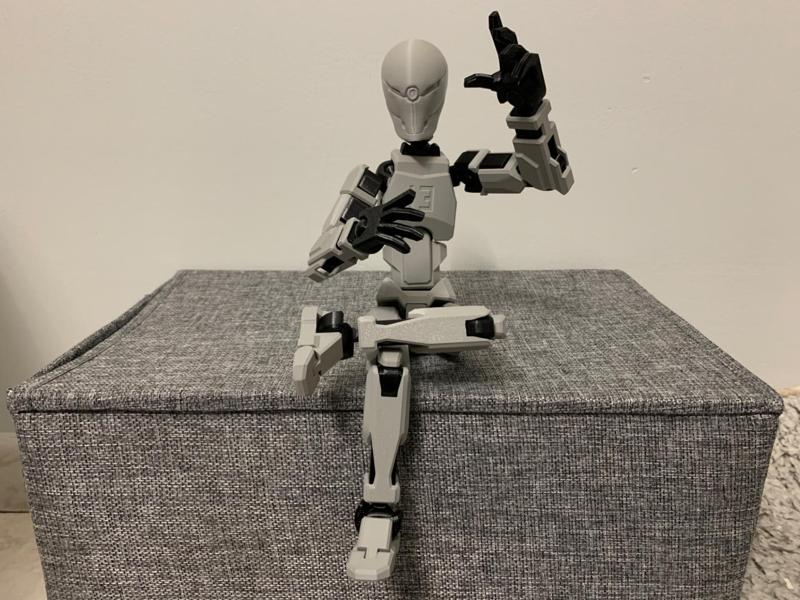Dummy 13 - Head Gray Fox MGS