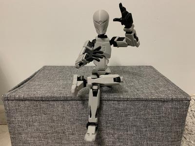 Dummy 13 - Head Gray Fox MGS