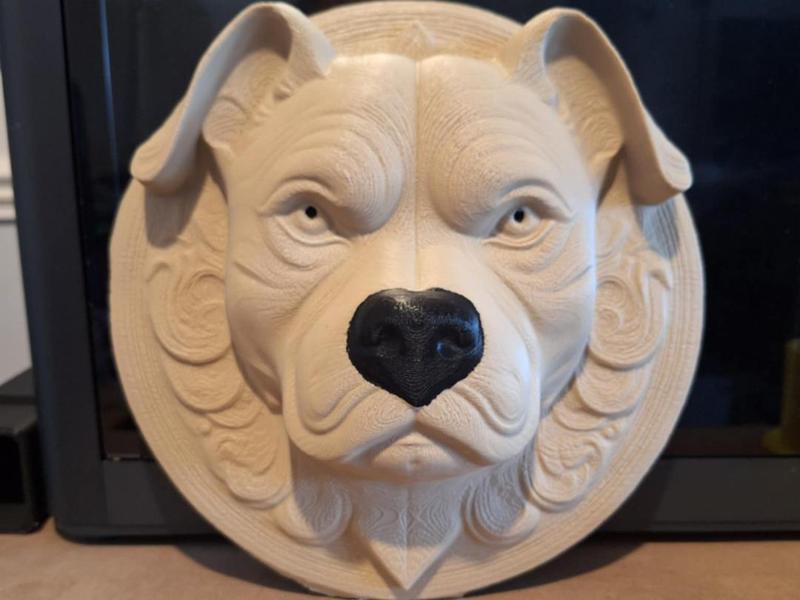 american pit bull dog 3d model wall art