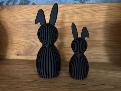 Lop-eared rabbit