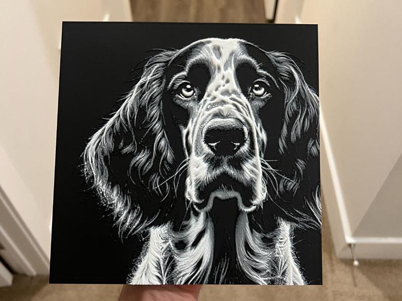 English Setter Dog Face Hueforge