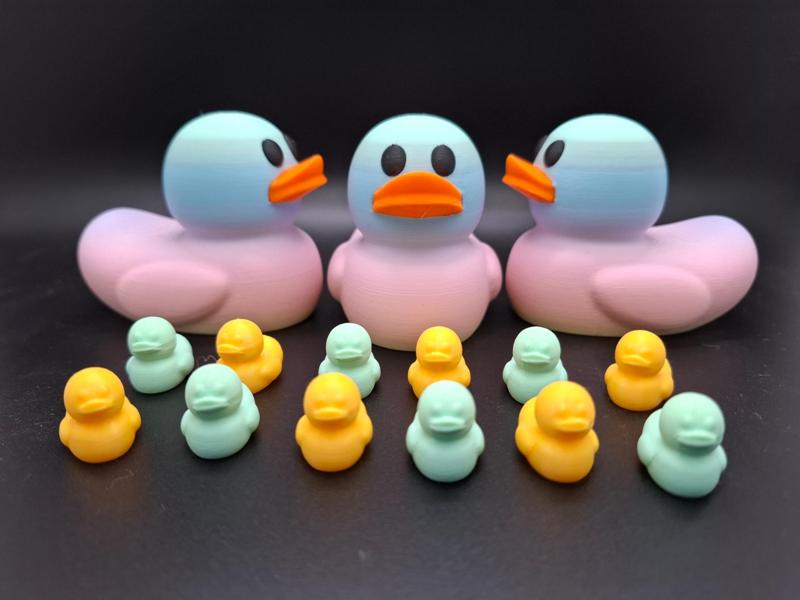 Rubber Duck ( big and small version )