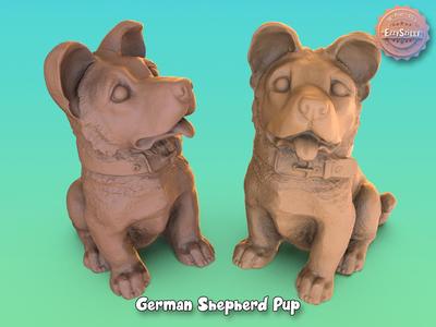 German Shepherd Pup