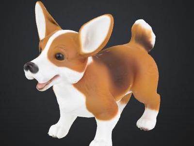 Corgi Puppy