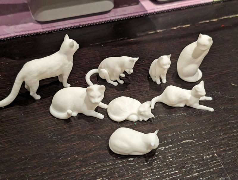 Assorted Cats 