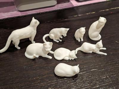 Assorted Cats 