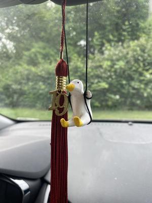 Swinging Duck Rearview Mirror Car Ornament