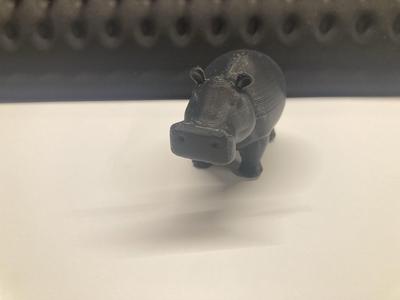 Hippopotamus