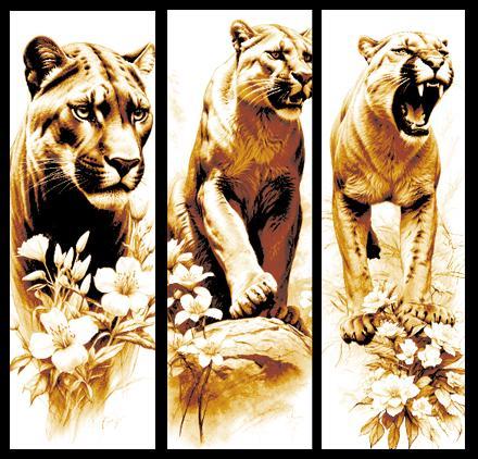 Set of 3 Bookmarks - Artwork of the American Mountain Lion or Cougar