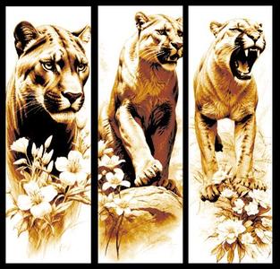 Set of 3 Bookmarks - Artwork of the American Mountain Lion or Cougar