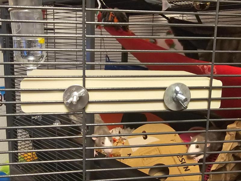 Small Pet Cage Ledge/Platform