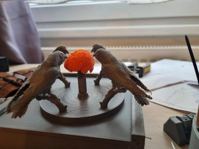 Ravens bobbling brain