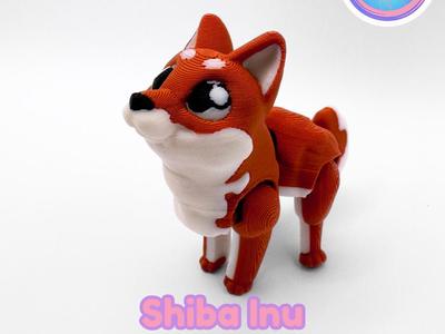 Shiba Inu Flexi