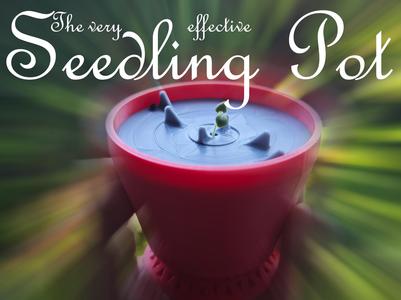 The very effective Seedling Pot