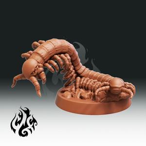Giant centipede