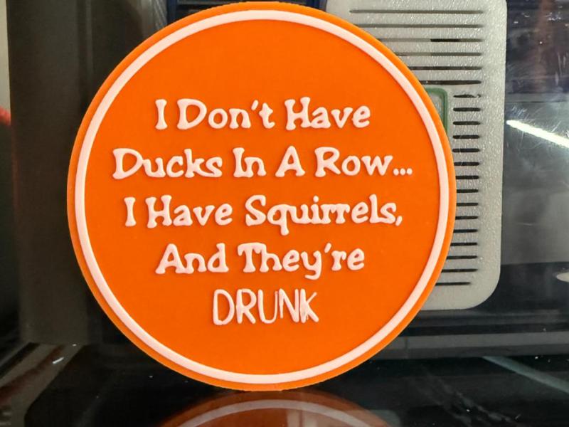 I DON'T HAVE MY DUCKS IN A ROW 