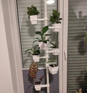 Plant holder for telescopic shelf