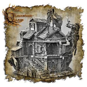Blackwood village house 1