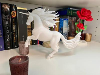 Wild Unicorn