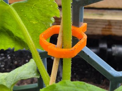 Plant Clips for Modular Trellis