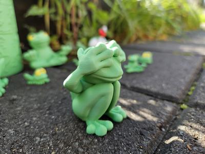 See No Evil Frog