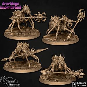 Arachlayn Truebreed Pack
