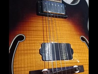 guitar pickup cover