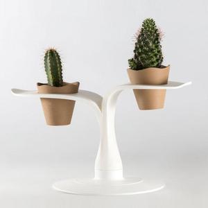 Blossy Planter