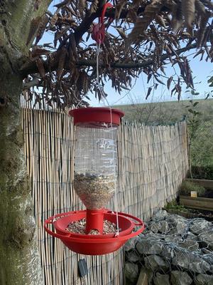 Mangeoire à oiseaux / birds feeder