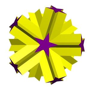 STAR DODECAHEDRON 9