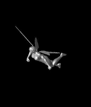 wasp