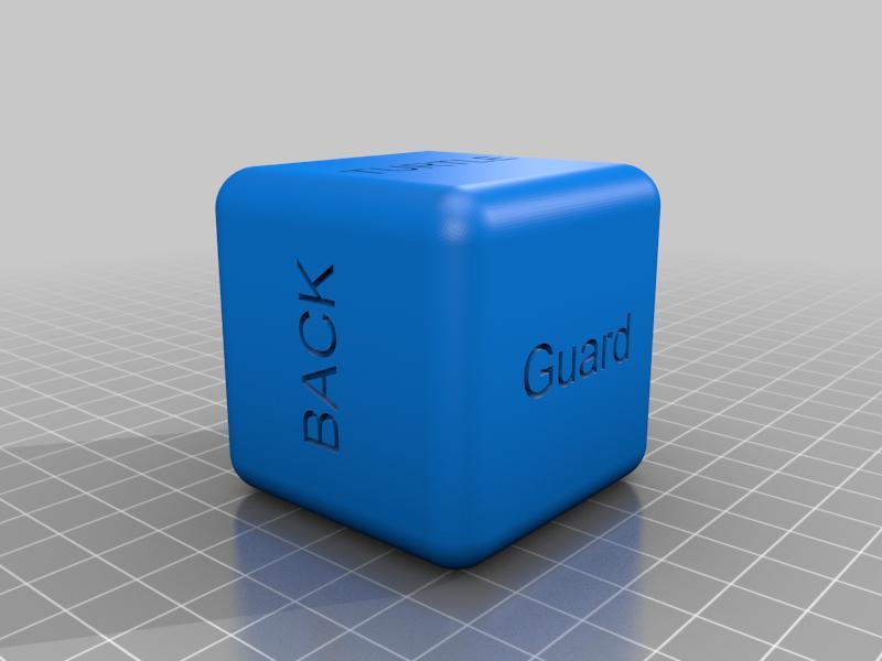 Jiu Jitsu Training Dice